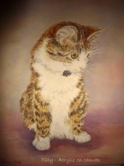 crylic pet portrait- Tilly
