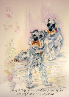 Watercolour pet portrait - Jack and Beryl