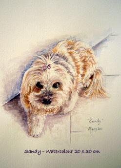 Watercolour pet portrait - Sandy